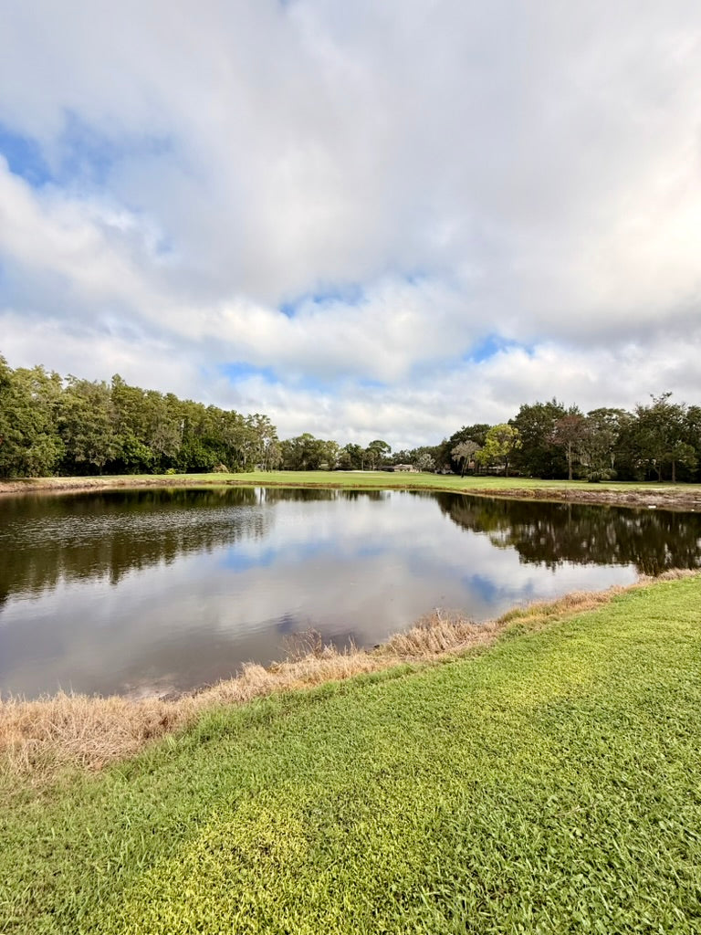 Paradise Golf Newsletter Oct 23, 2025