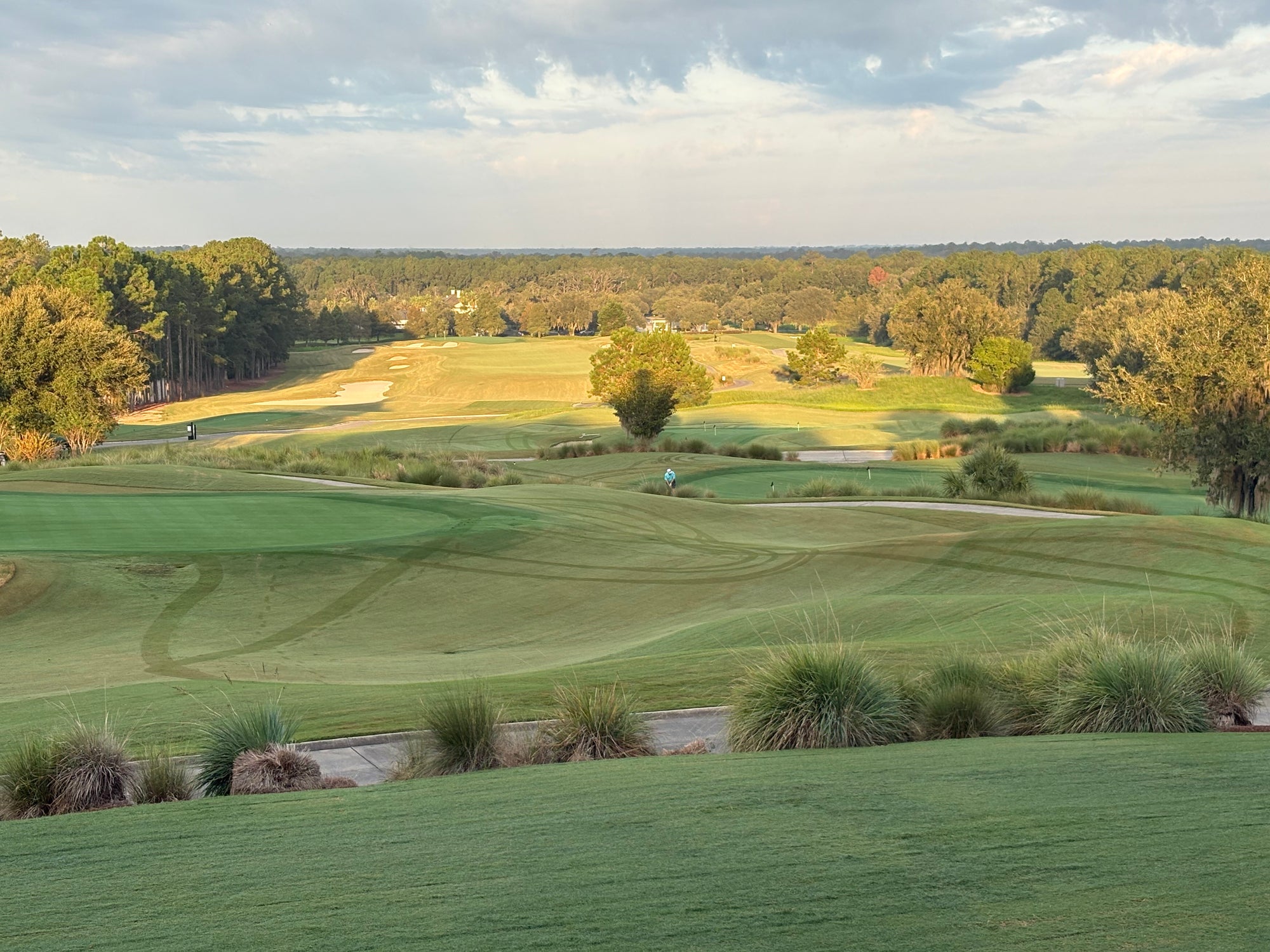 Gold Summer Membership