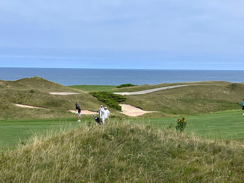 Paradise Golf Newsletter Nov 6, 2025