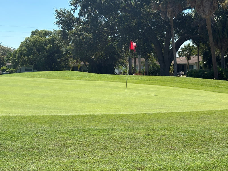 Paradise Golf Newsletter Oct 9, 2025