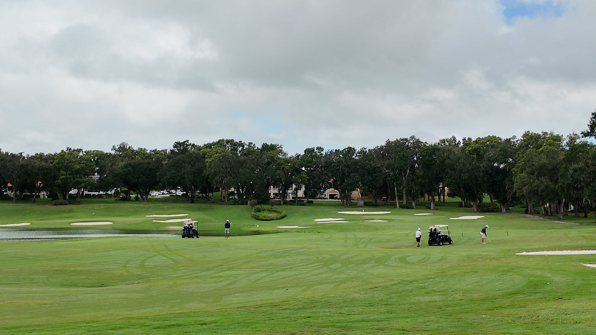 Paradise Golf Newsletter Oct 28, 2025