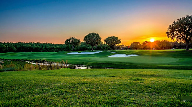 ⛳ The Paradise Golf Journal 📰 Jun 17