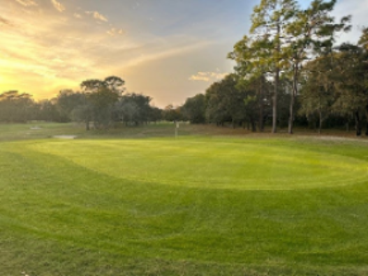 ⛳ The Paradise Golf Journal 📰 Jun 10