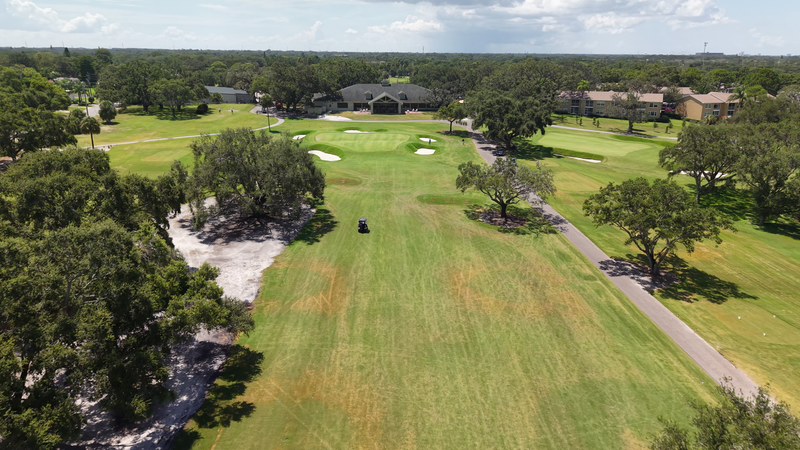 Weekly Newsletter - Aug 18th, 2025