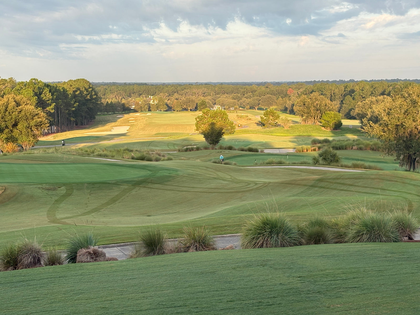 Gold Summer Membership