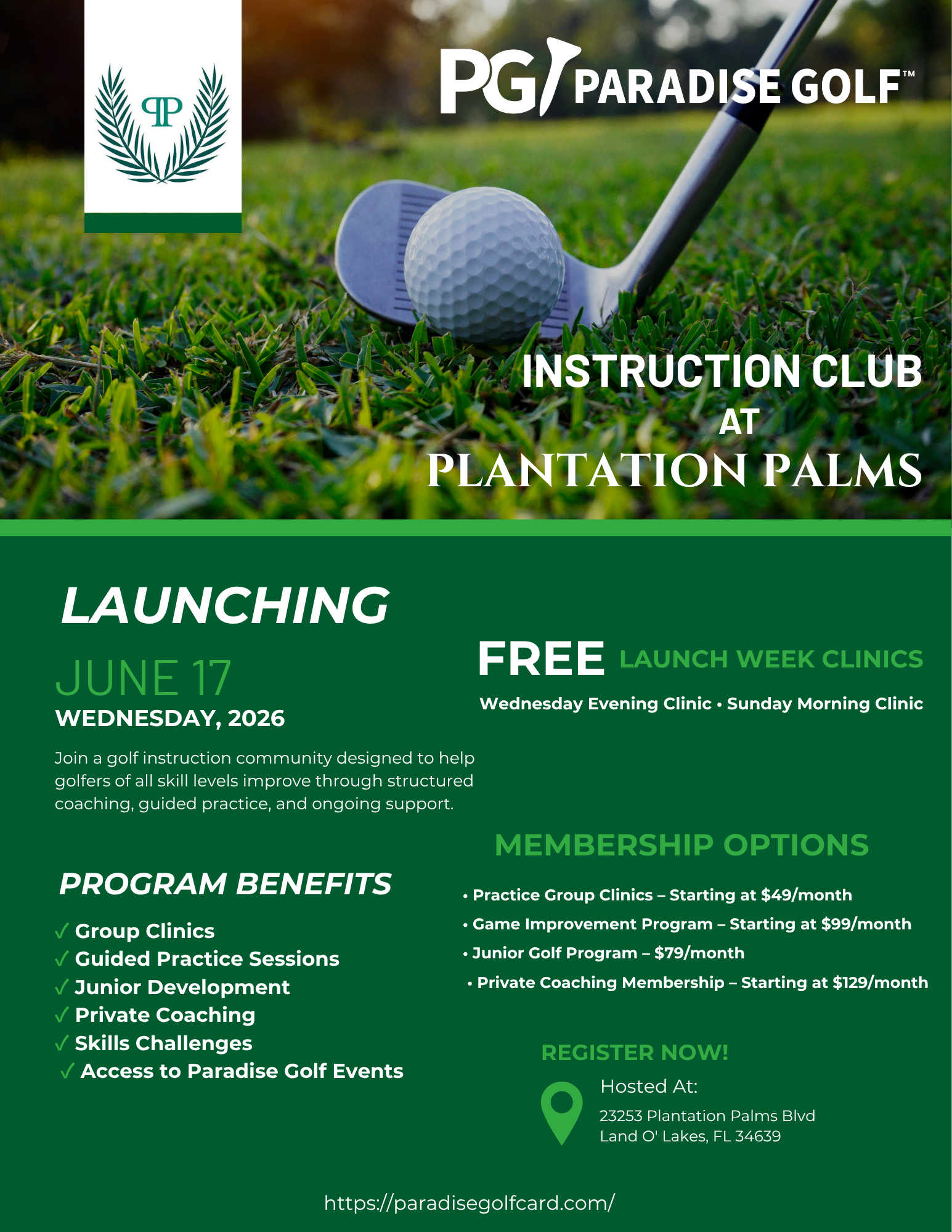 Paradise Golf Instruction - One 60-min Individual Private Lesson
